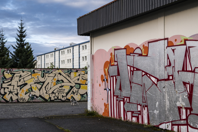 Reykjavik (Iceland), murals in the working-class neighbourhood of Fellahverfi, east of the historic centre. Built in the 1970s, Fellahverfi is a neighbourhood of large blocks of flats, home to many immigrant families, where the average income is among the lowest in the city. At the local school, 85 per cent of pupils are multilingual, and the most commonly spoken languages are Arabic, Polish and Filipino.